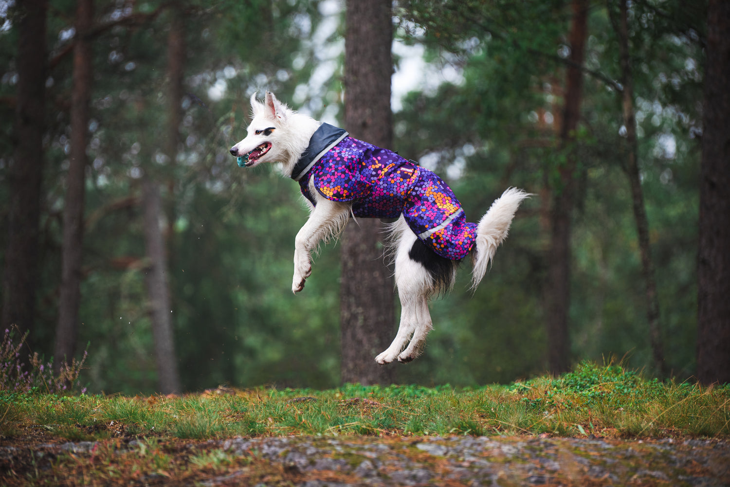 Pomppa Sade manteau imperméable pour chien Cosmos
