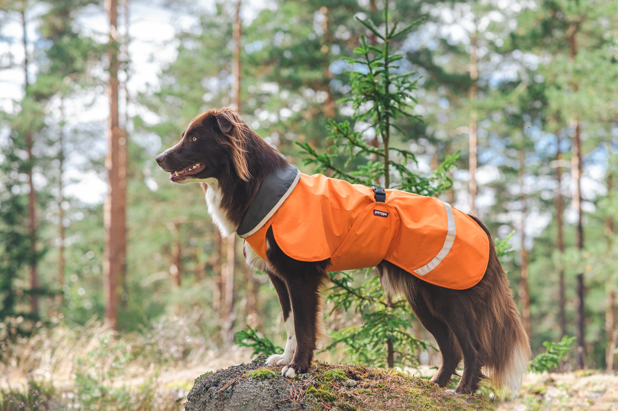 Pomppa Sade manteau imperméable pour chien Orange