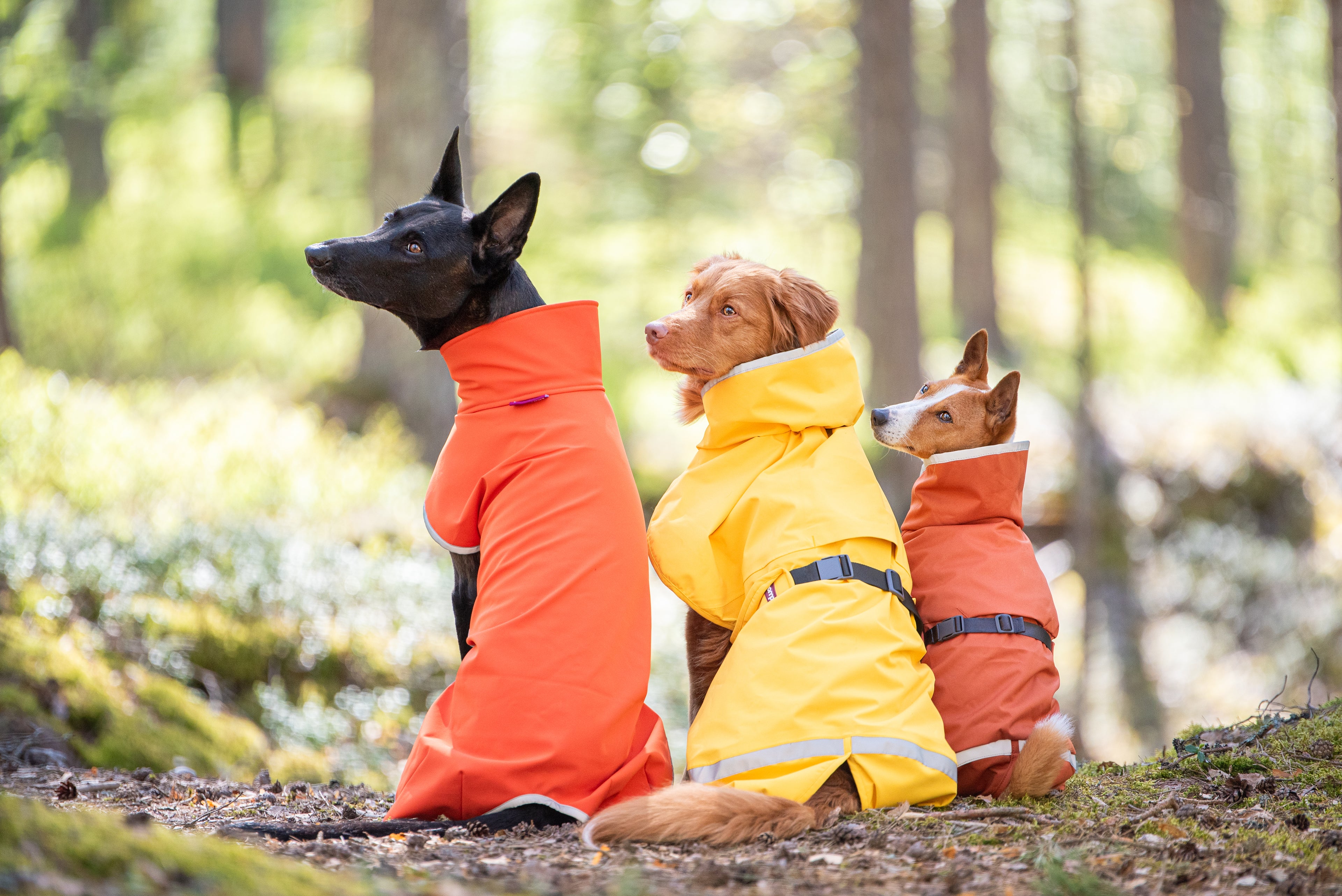 Pomppa Kevyt manteau imperméable pour chien Curry