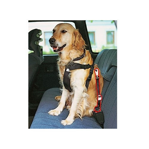 Laisse de voiture pour chien