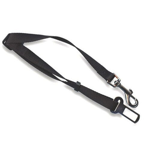 Laisse de voiture pour chien