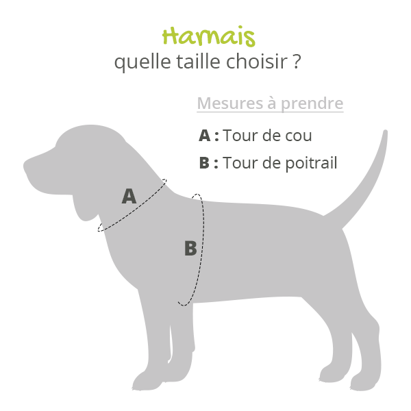 Harnais IDC Power Bleu