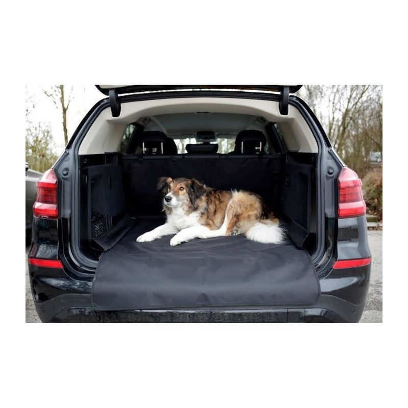 Couverture de protection economy