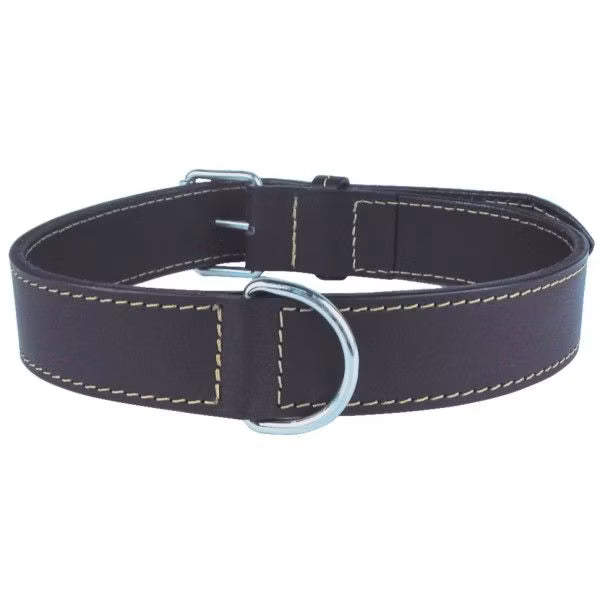 Collier cuir double noir chien