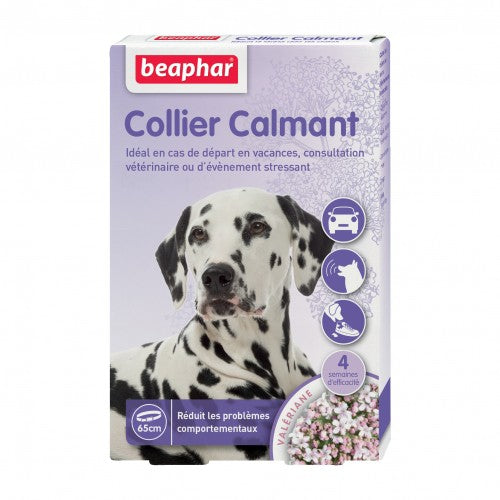 Collier calmant chien