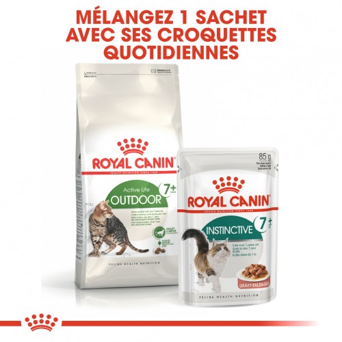 Royal Canin Outdoor 7+