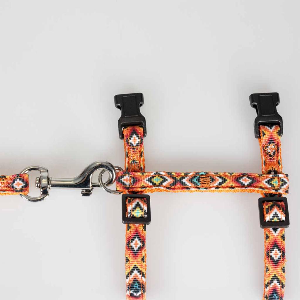 Harnais+laisse chat indian design