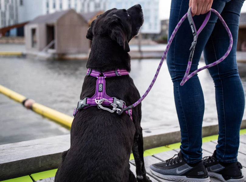 DOG COPENHAGEN - Laisse Urban Rope