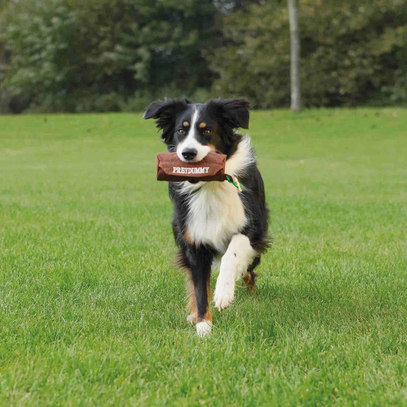 Leurre éducatif pour le flair