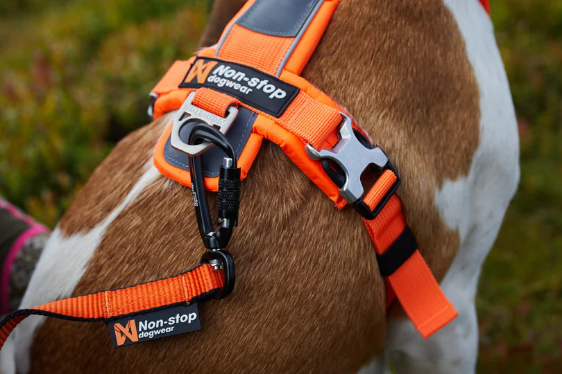 Non Stop Harnais Line