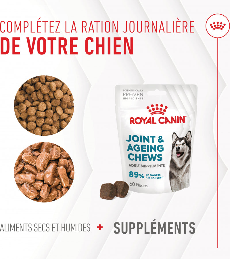 Aliment complémentaire Joint & Ageing Chews pour chien