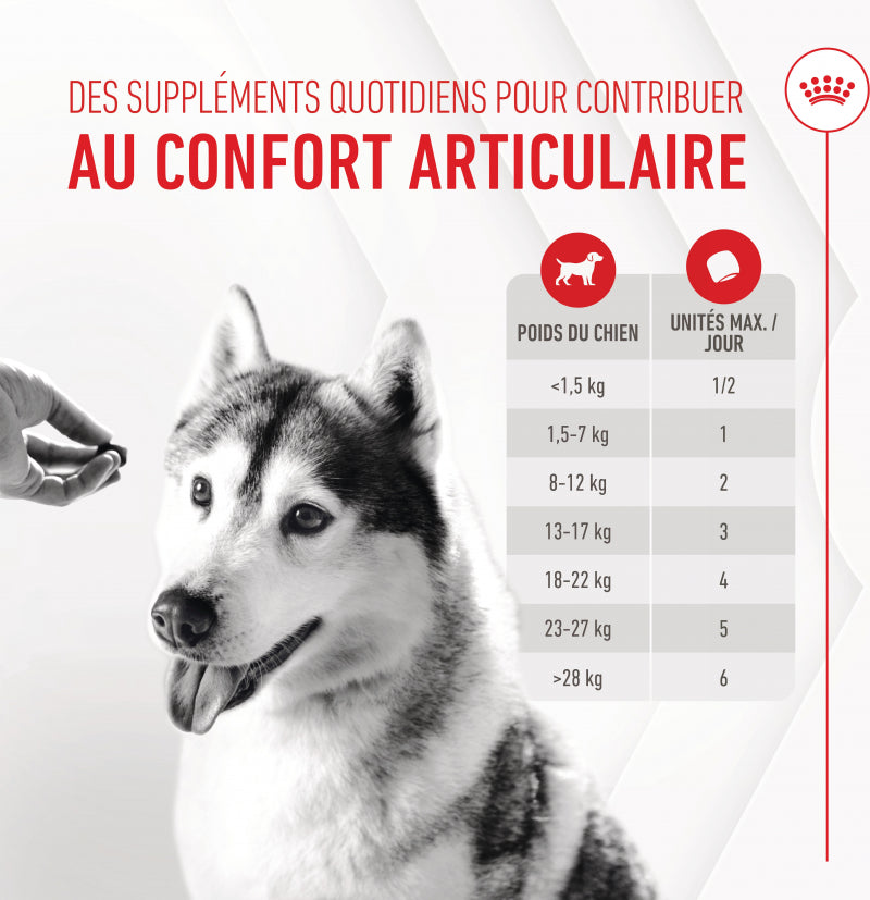 Aliment complémentaire Joint & Ageing Chews pour chien