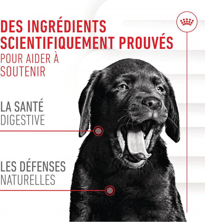 Aliment Complémentaire Puppy Immunity & Digestion Chews pour chiot