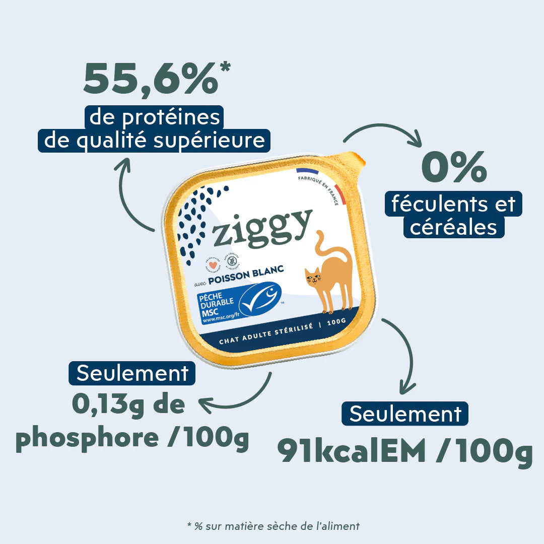 Ziggy Stérilisés Saveur Poisson Pâtée pour Chats Adult