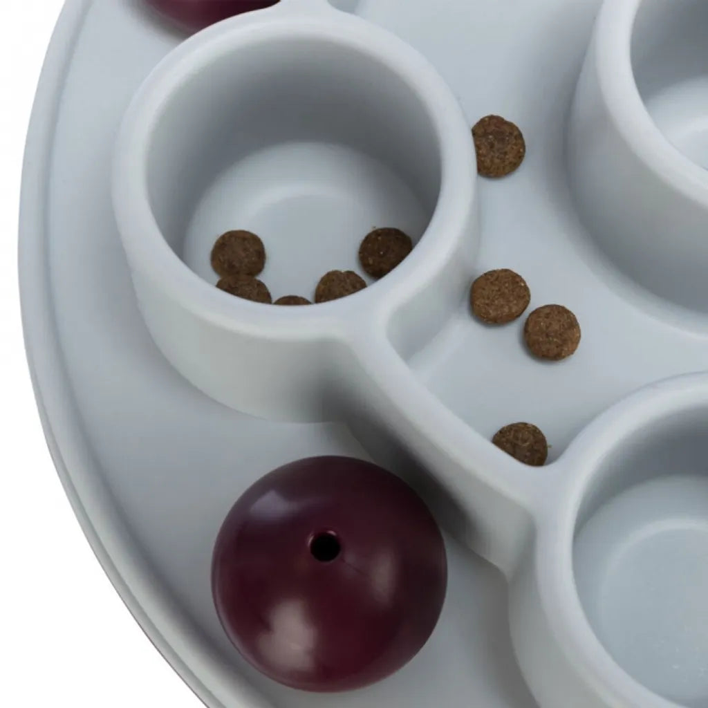 Cat Activity Pentagon