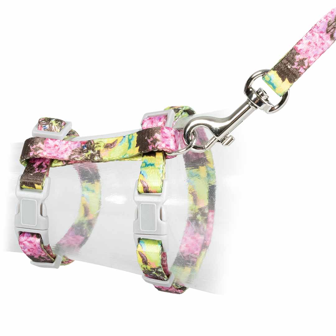 Harnais+laisse chat Indian Splash