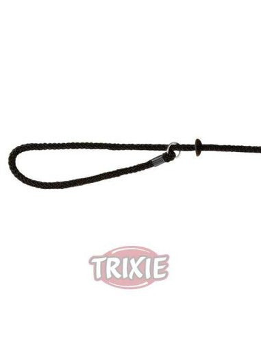 Laisse de présentation