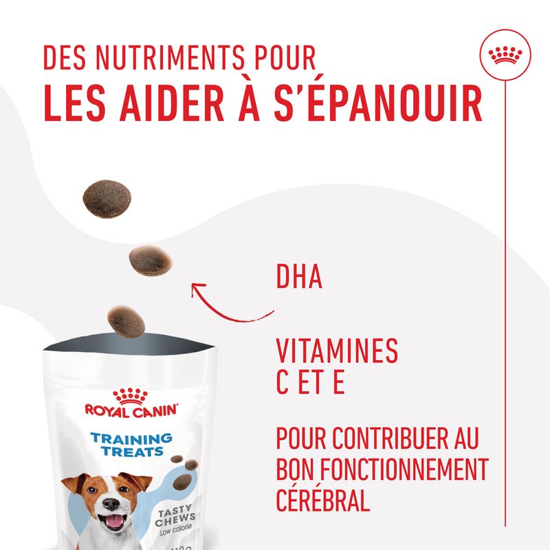 Royal Canin Training Treats pour chien