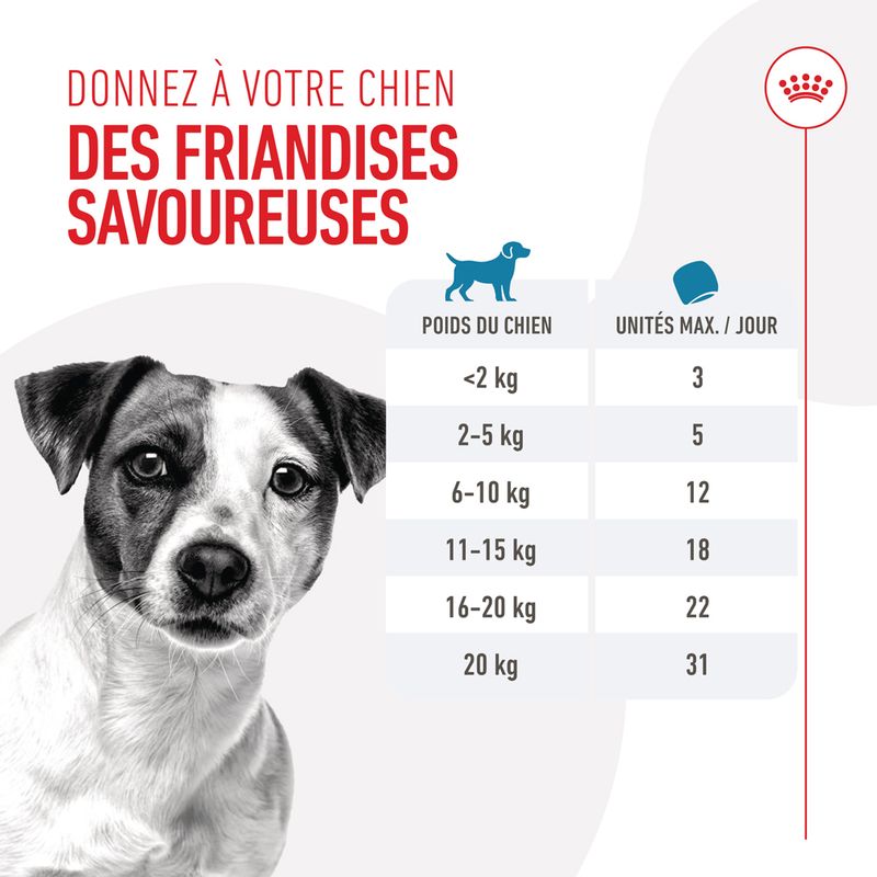 Royal Canin Training Treats pour chien