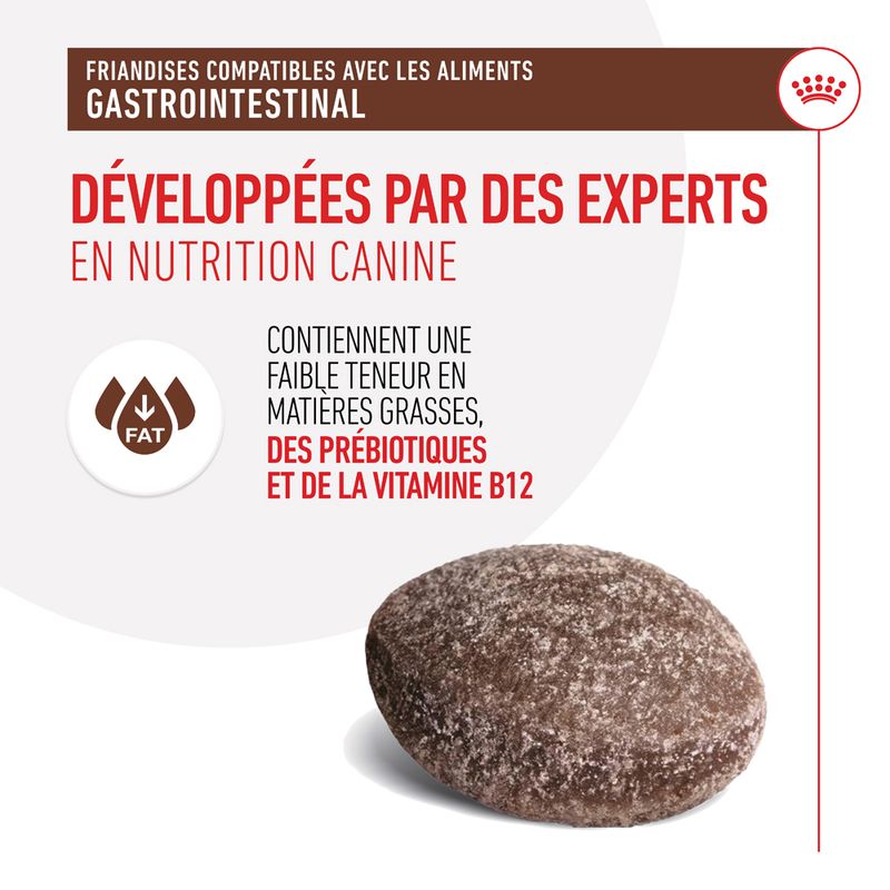 Royal Canin Gastrointestinal Treats pour chien