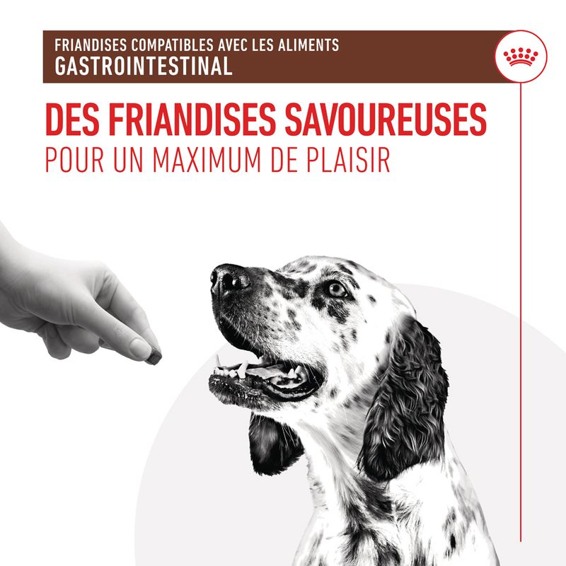 Royal Canin Gastrointestinal Treats pour chien