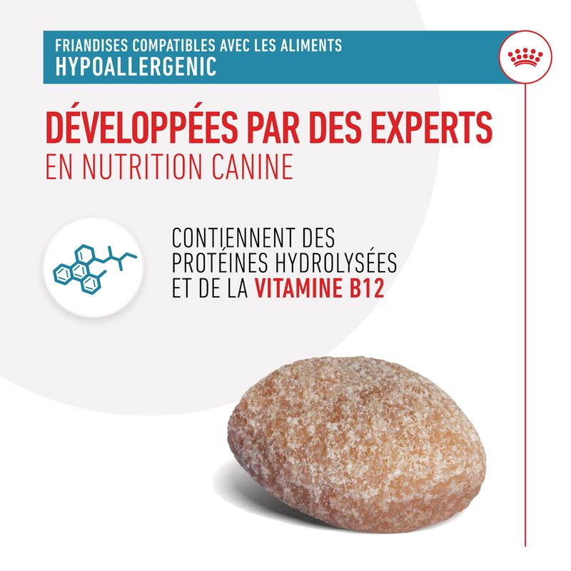 Royal Canin Hypoallergenic Treats pour chien