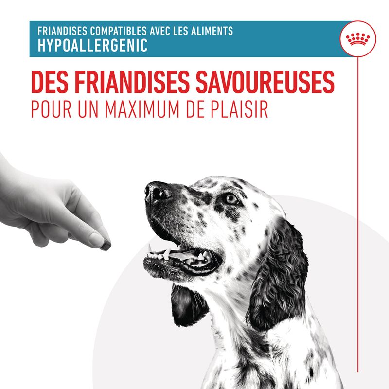 Royal Canin Hypoallergenic Treats pour chien