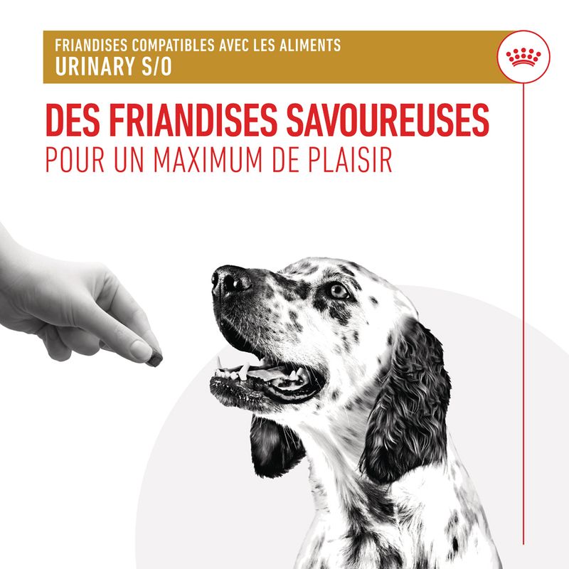 Royal Canin Urinary Treats pour chien