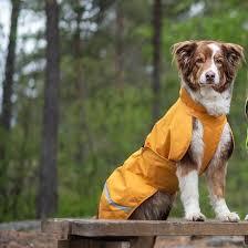 Pomppa Sade manteau imperméable pour chien Curry