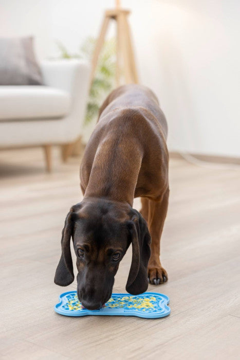 Tapis à lecher 13x22cm