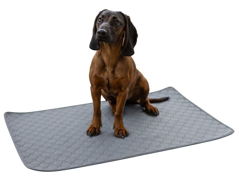 Tapis educateur 115x75cm