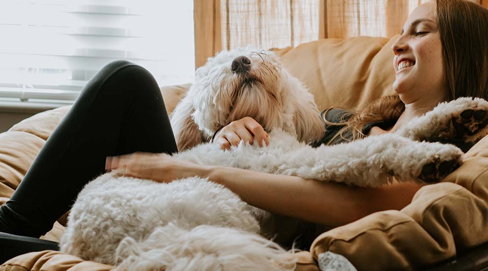 Couchages anti-odeurs pour chiens