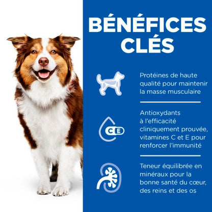 Chien Mature Adult 7+ Boeuf
