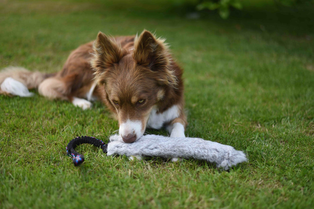 JOUET RABBIT FOURRURE XL