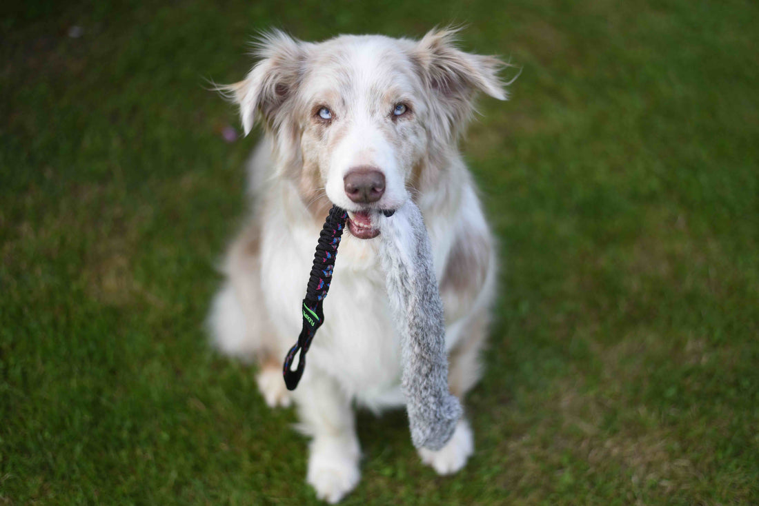 JOUET RABBIT FOURRURE XL