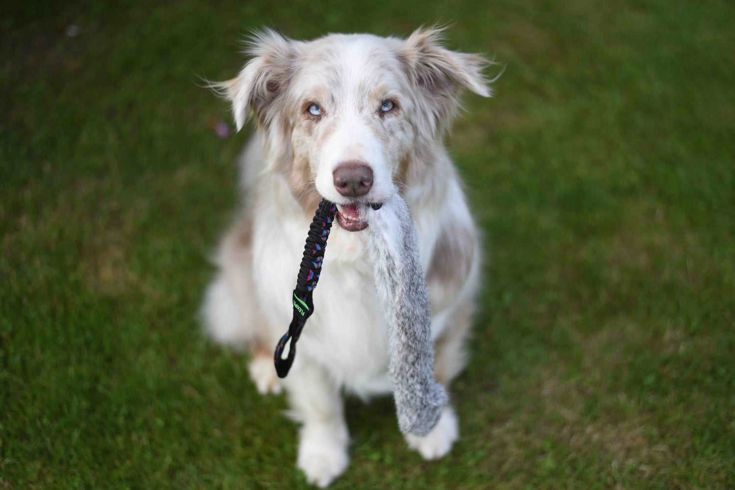 JOUET RABBIT FOURRURE XL