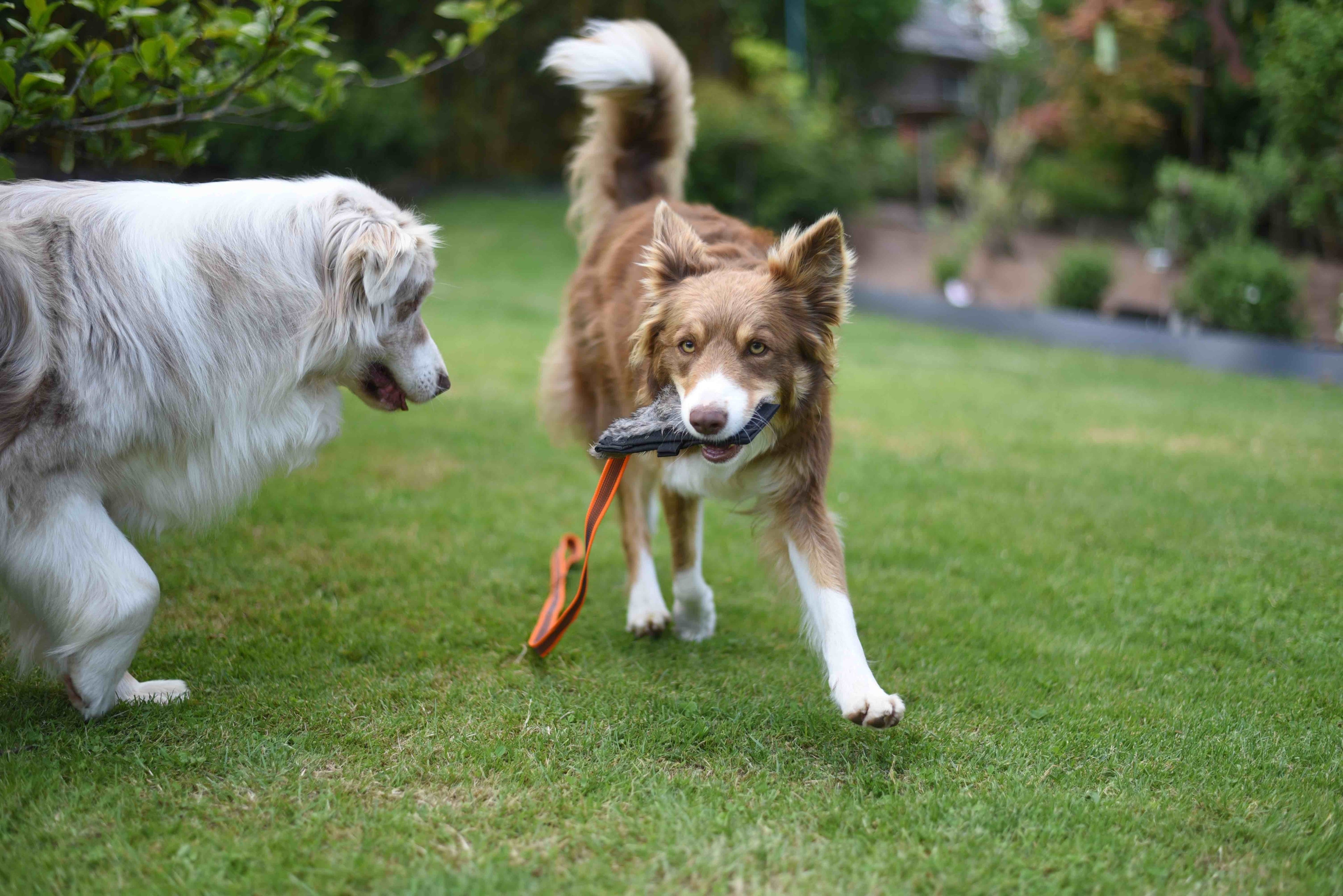 Jouet rabbit  avec pochette à friandises et Anse
