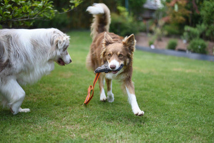 Jouet rabbit  avec pochette à friandises et Anse