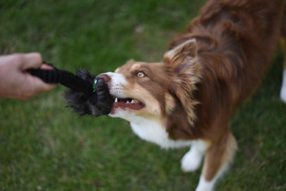 Jouet Flexipets fourrure rabbit