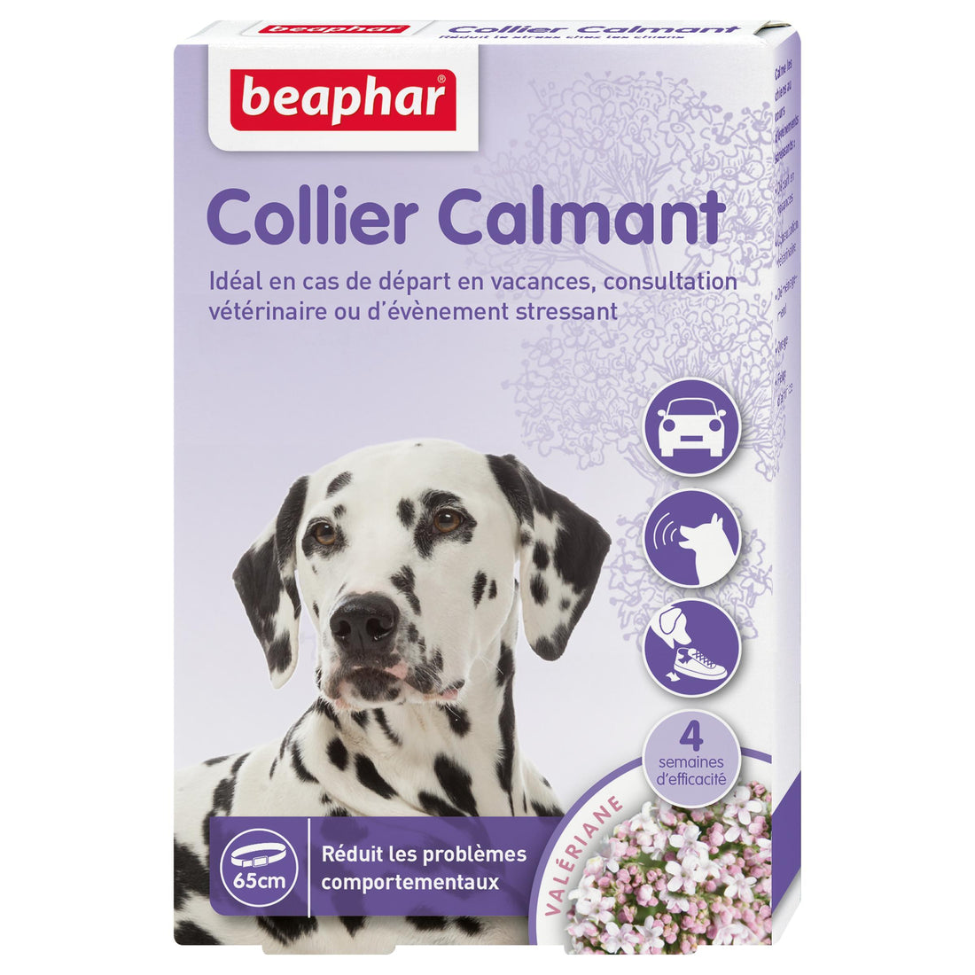 Collier calmant chien