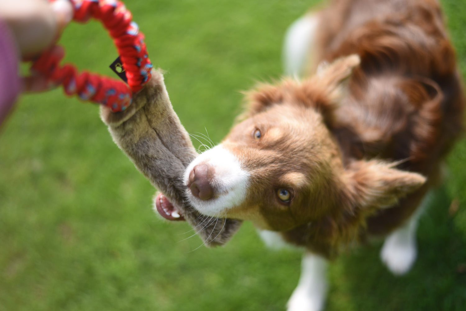 JOUET OVEJA FOURRURE ELASTIQUE