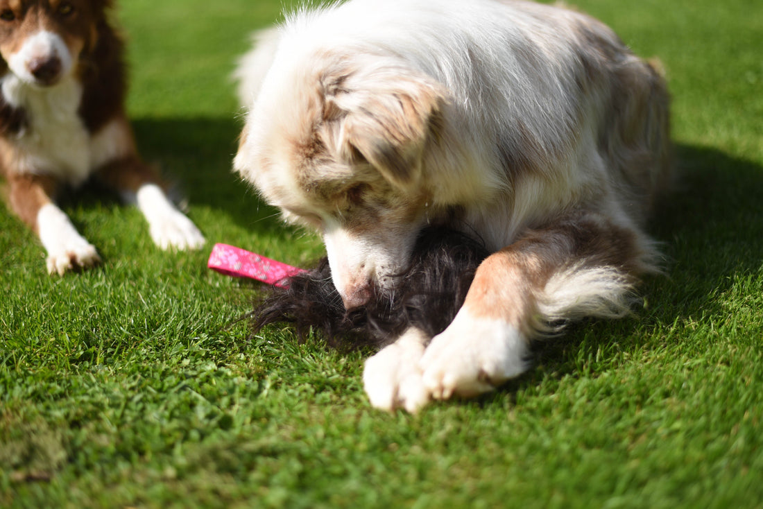 JOUET FLEXIPETS - FOURRURE MERINO