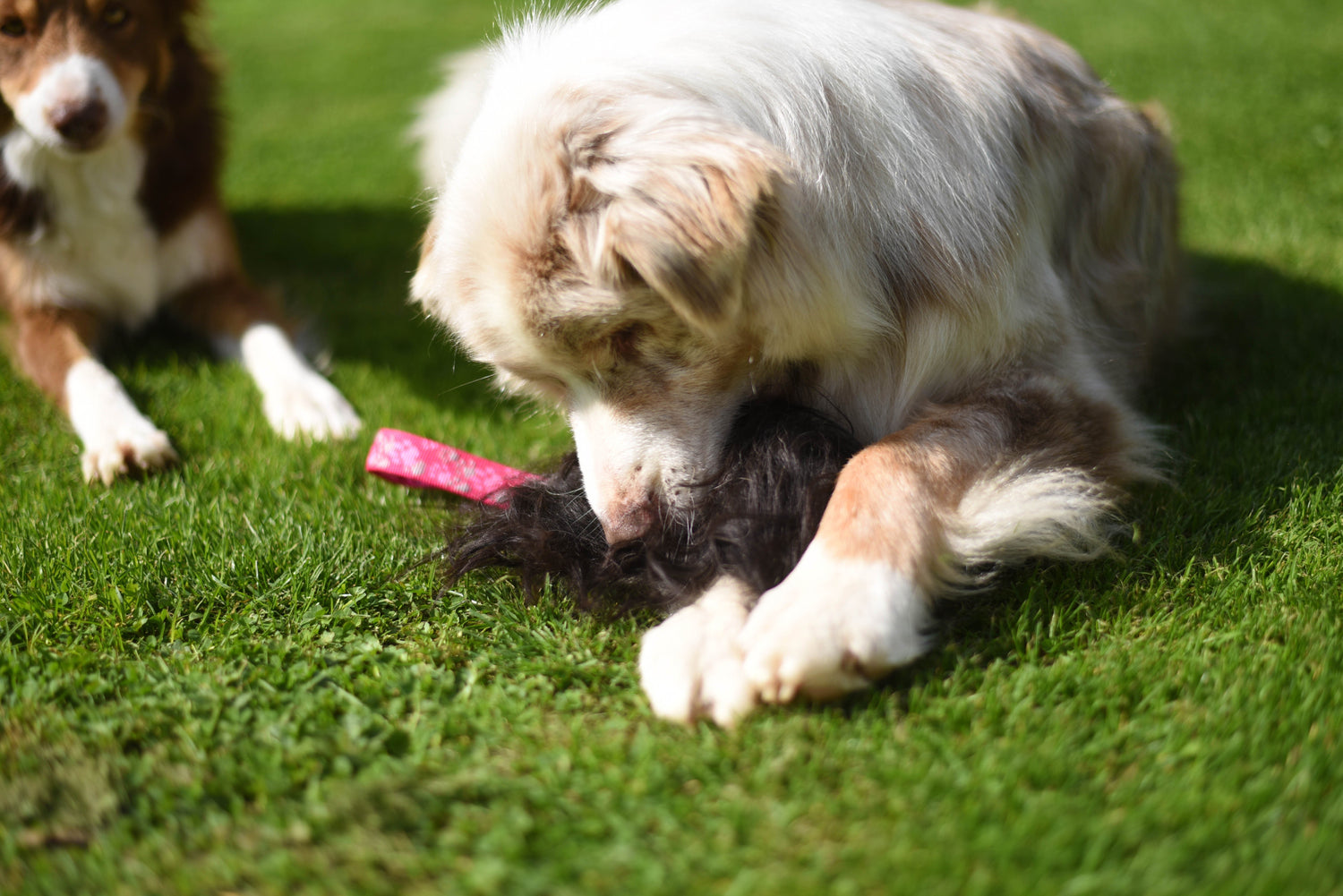 JOUET FLEXIPETS - FOURRURE MERINO