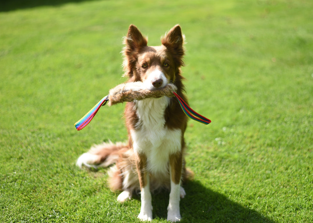 JOUET FLEXIPETS FOURRURE DE LAPIN