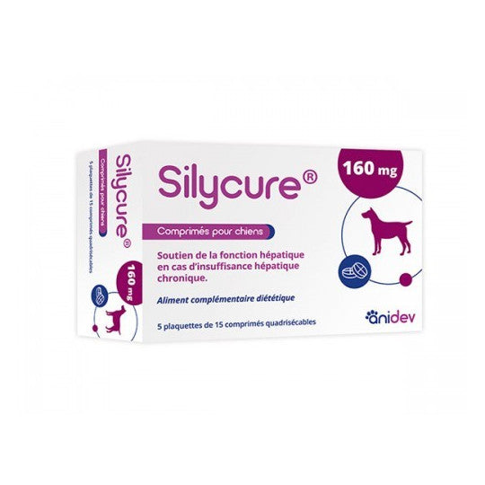 Silycure Moyen &amp; Grand Chien