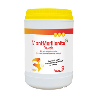 Montmorillonite Chat