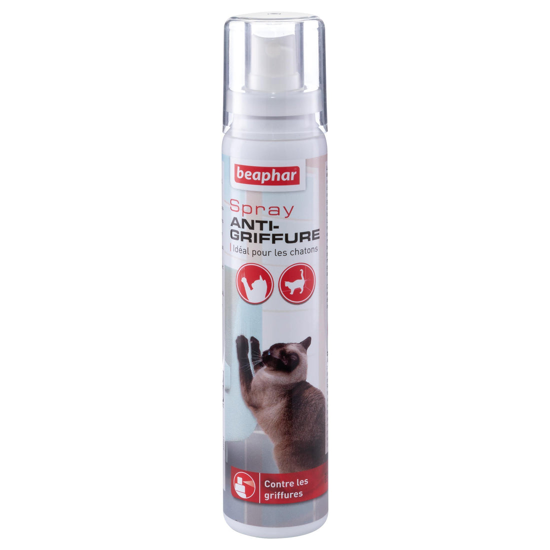 Spray anti-griffure