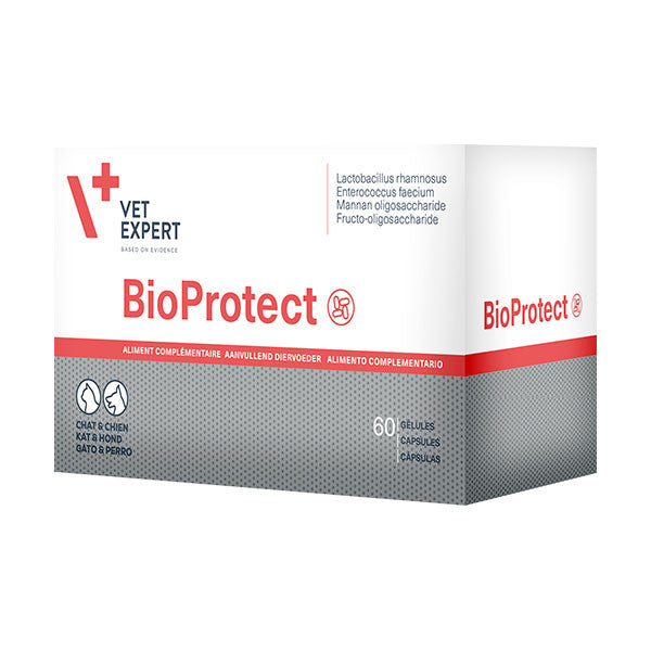 Bioprotect Chat Chien