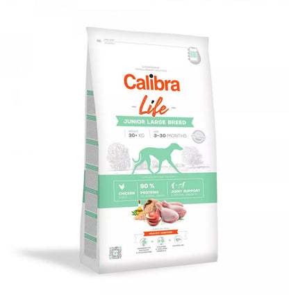 Cal Lf Chien Junior