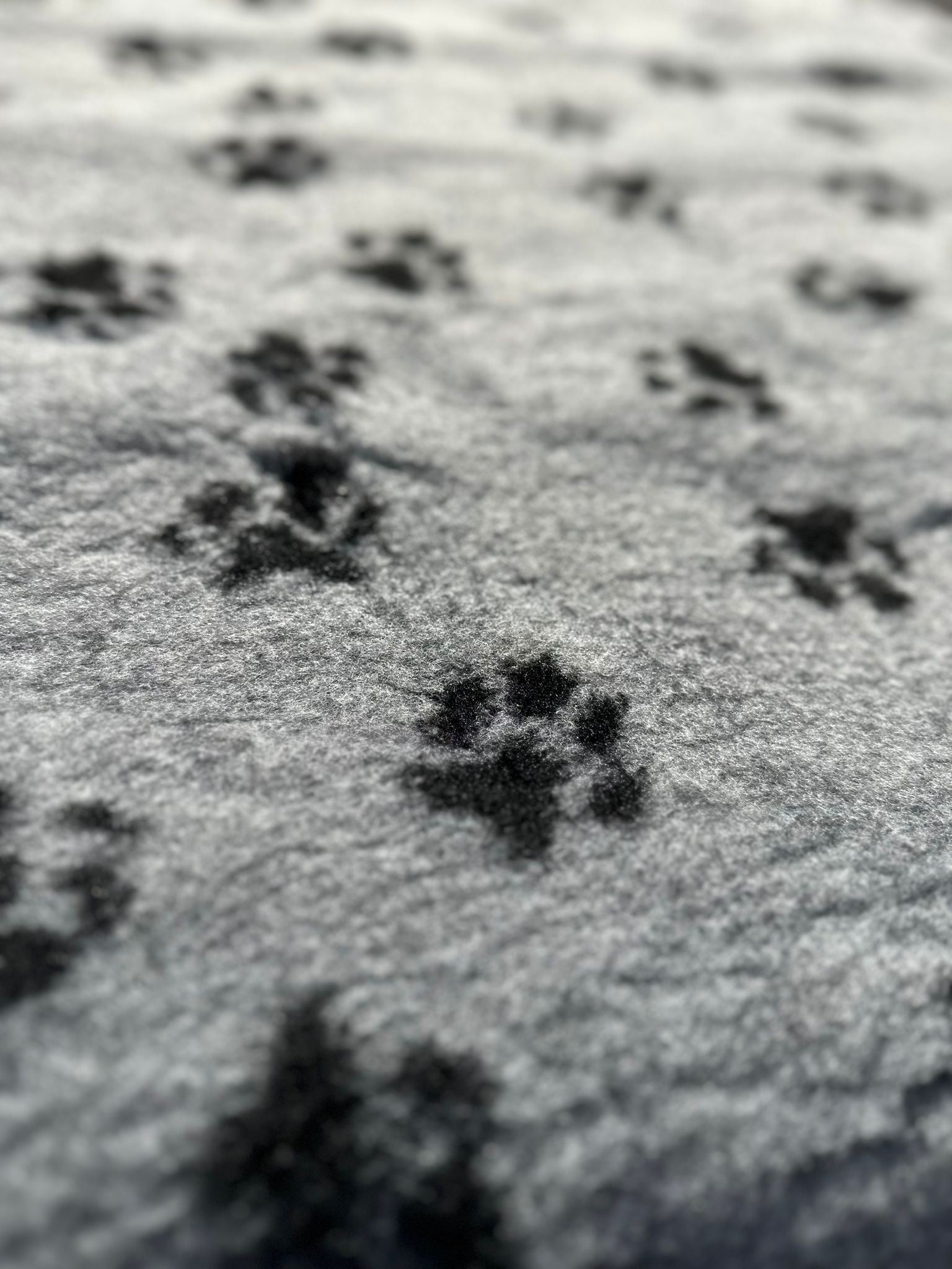 Tapis type Vetbed Petbed